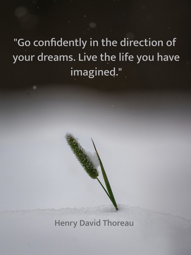 Go confidently in the direction of your dreams. Live the life you have imagined. - Henry David Thoreau
