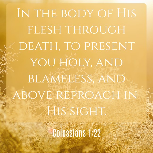 In the body of His flesh through death, to present you holy, and blameless, and above reproach in His sight. - Colossians 1:22