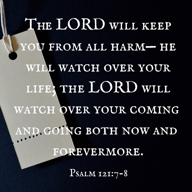 The LORD will keep you from all harm— he will watch over your life; the LORD will watch over your coming and going both now and forevermore. - Psalm 121:7-8