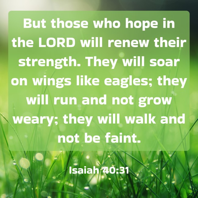 But those who hope in the LORD will renew their strength. They will soar on wings like eagles; they will run and not grow weary; they will walk and not be faint. - Isaiah 40:31