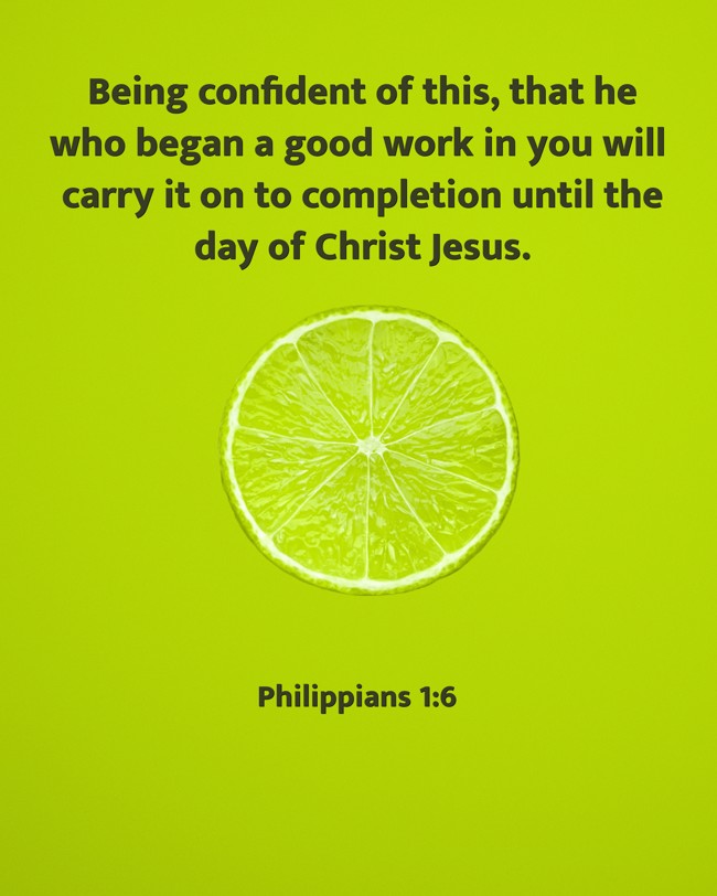 Being confident of this, that he who began a good work in you will carry it on to completion until the day of Christ Jesus. - Philippians 1:6