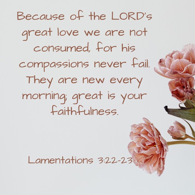 Because of the LORD’s great love we are not consumed, for his compassions never fail. They are new every morning; great is your faithfulness. - Lamentations 3:22-23