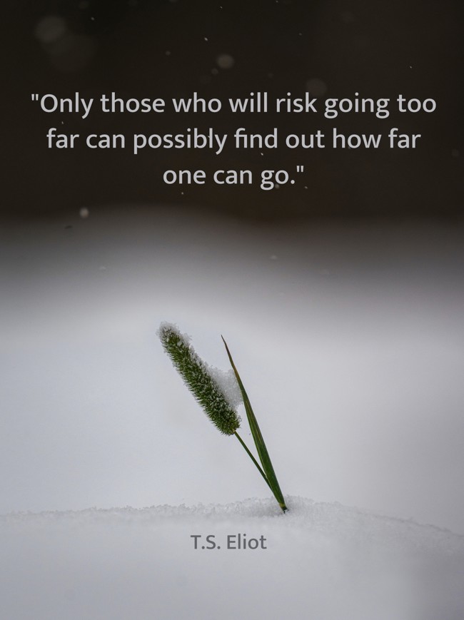 Only those who will risk going too far can possibly find out how far one can go. - T.S. Eliot