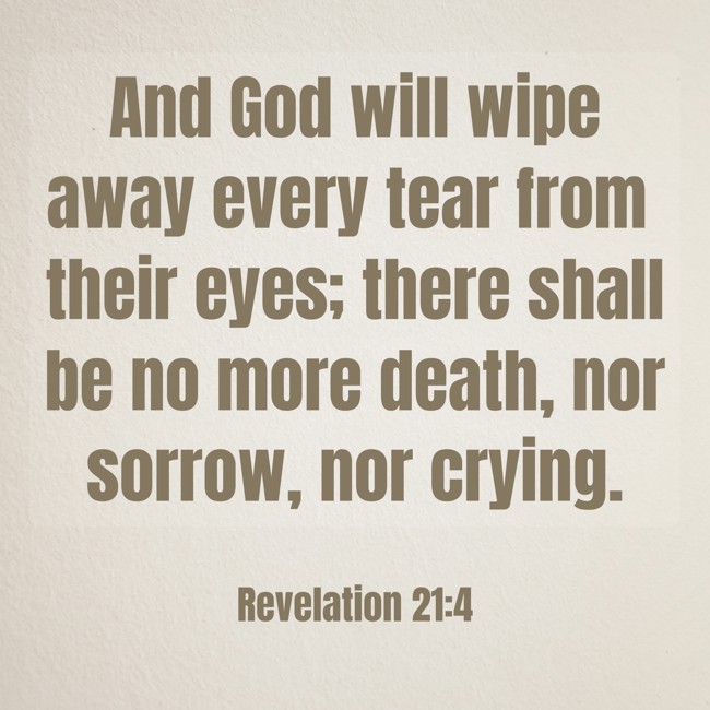 And God will wipe away every tear from their eyes; there shall be no more death, nor sorrow, nor crying. - Revelation 21:4