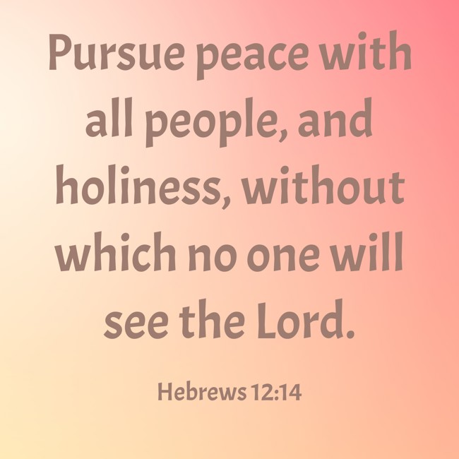 Pursue peace with all people, and holiness, without which no one will see the Lord. - Hebrews 12:14