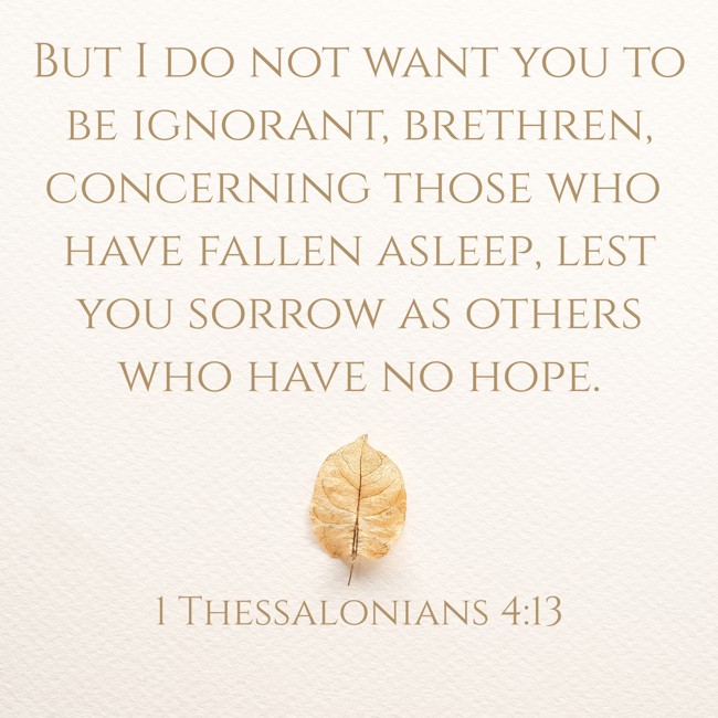 But I do not want you to be ignorant, brethren, concerning those who have fallen asleep, lest you sorrow as others who have no hope. - 1 Thessalonians 4:13
