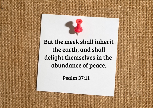 But the meek shall inherit the earth, and shall delight themselves in the abundance of peace. - Psalm 37:11