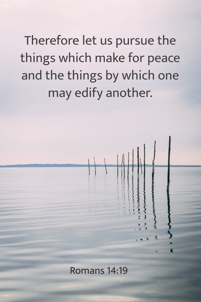Therefore let us pursue the things which make for peace and the things by which one may edify another. - Romans 14:19