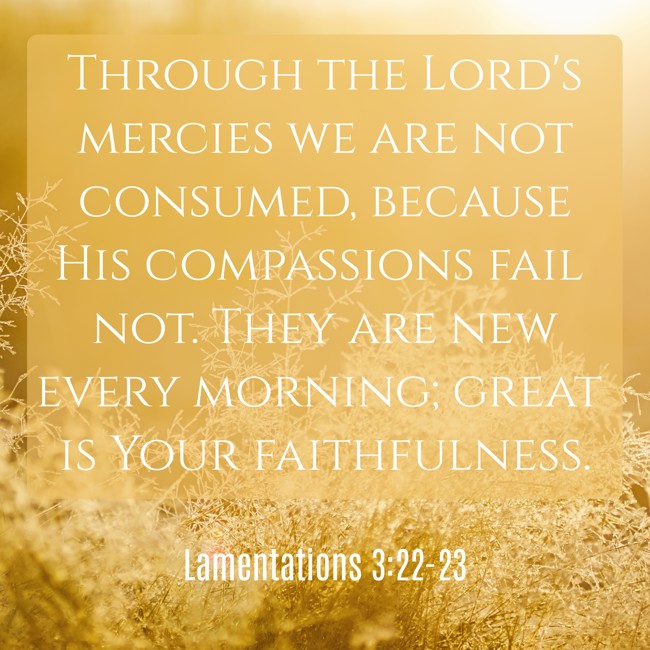 Through the Lord's mercies we are not consumed, because His compassions fail not. They are new every morning; great is Your faithfulness. - Lamentations 3:22-23