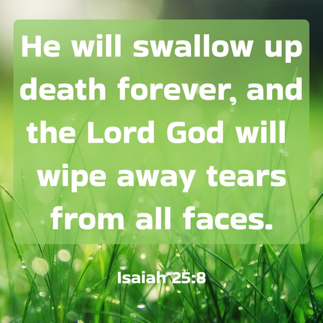 He will swallow up death forever, and the Lord God will wipe away tears from all faces. - Isaiah 25:8