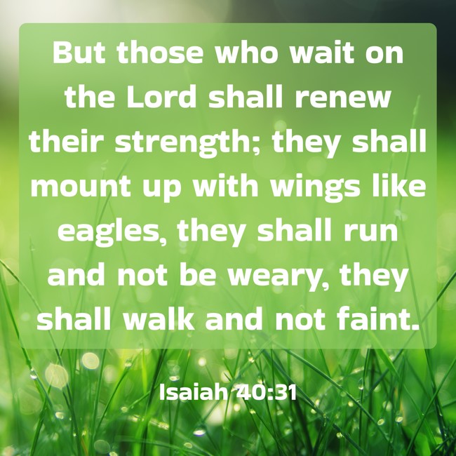 But those who wait on the Lord shall renew their strength; they shall mount up with wings like eagles, they shall run and not be weary, they shall walk and not faint. - Isaiah 40:31