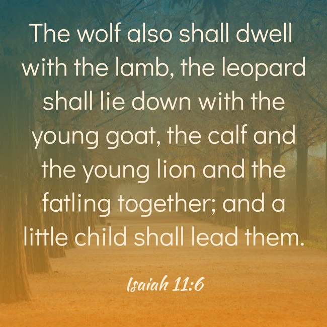 The wolf also shall dwell with the lamb, the leopard shall lie down with the young goat, the calf and the young lion and the fatling together; and a little child shall lead them. - Isaiah 11:6