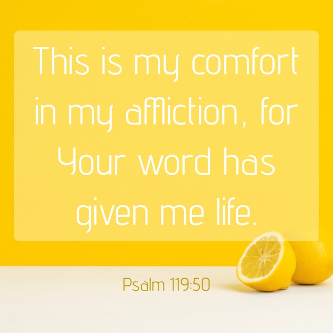 This is my comfort in my affliction, for Your word has given me life. - Psalm 119:50