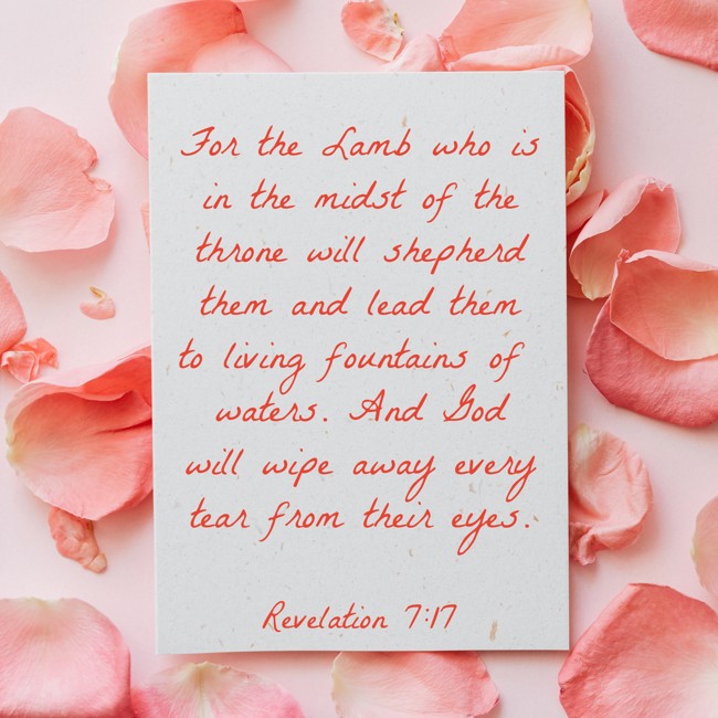 For the Lamb who is in the midst of the throne will shepherd them and lead them to living fountains of waters. And God will wipe away every tear from their eyes. - Revelation 7:17