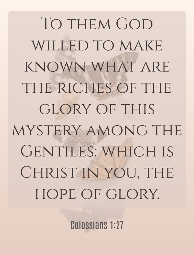 To them God willed to make known what are the riches of the glory of this mystery among the Gentiles: which is Christ in you, the hope of glory. - Colossians 1:27