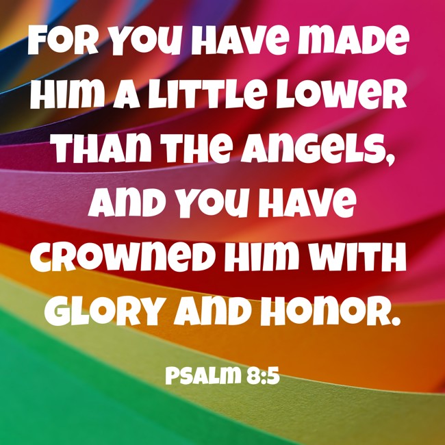 For You have made him a little lower than the angels, and You have crowned him with glory and honor. - Psalm 8:5