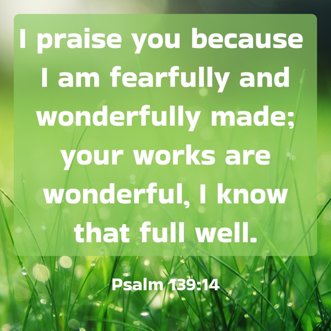 I praise you because I am fearfully and wonderfully made; your works are wonderful, I know that full well. - Psalm 139:14