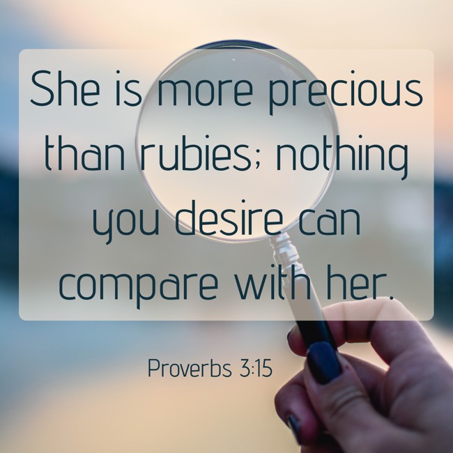 She is more precious than rubies; nothing you desire can compare with her. - Proverbs 3:15