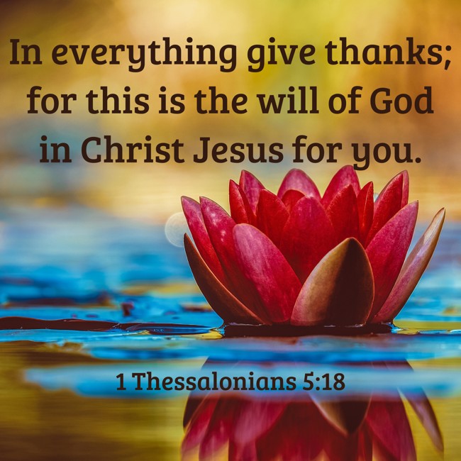 In everything give thanks; for this is the will of God in Christ Jesus for you. - 1 Thessalonians 5:18