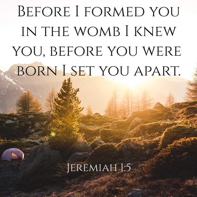 Before I formed you in the womb I knew you, before you were born I set you apart. - Jeremiah 1:5