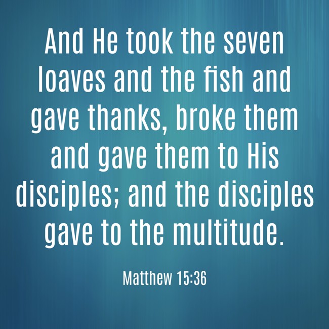 And He took the seven loaves and the fish and gave thanks, broke them and gave them to His disciples; and the disciples gave to the multitude. - Matthew 15:36