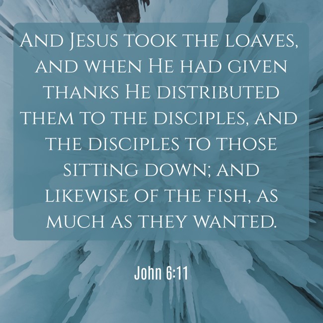 And Jesus took the loaves, and when He had given thanks He distributed them to the disciples, and the disciples to those sitting down; and likewise of the fish, as much as they wanted. - John 6:11