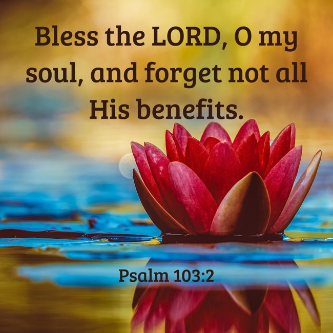 Bless the LORD, O my soul, and forget not all His benefits. - Psalm 103:2