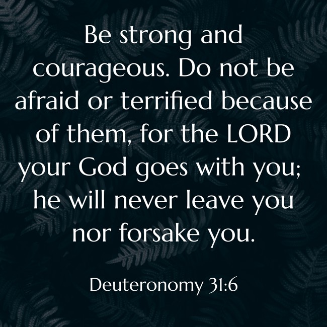 Be strong and courageous. Do not be afraid or terrified because of them, for the LORD your God goes with you; he will never leave you nor forsake you. - Deuteronomy 31:6