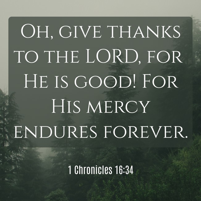 Oh, give thanks to the LORD, for He is good! For His mercy endures forever. - 1 Chronicles 16:34
