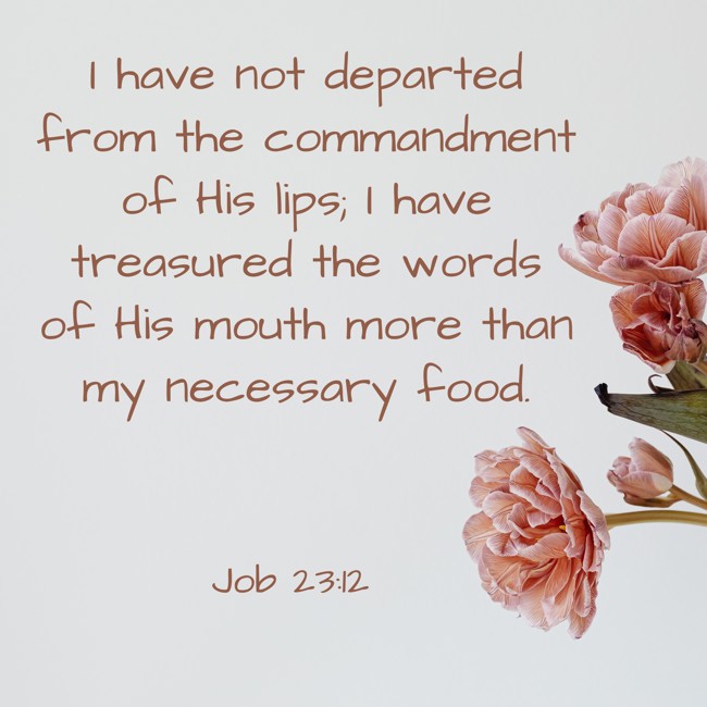 I have not departed from the commandment of His lips; I have treasured the words of His mouth more than my necessary food. - Job 23:12