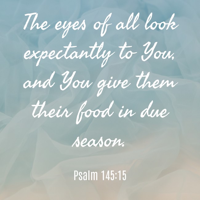 The eyes of all look expectantly to You, and You give them their food in due season. - Psalm 145:15