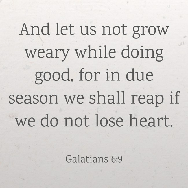 And let us not grow weary while doing good, for in due season we shall reap if we do not lose heart. - Galatians 6:9