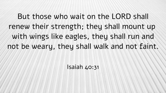 But those who wait on the LORD shall renew their strength; they shall mount up with wings like eagles, they shall run and not be weary, they shall walk and not faint. - Isaiah 40:31