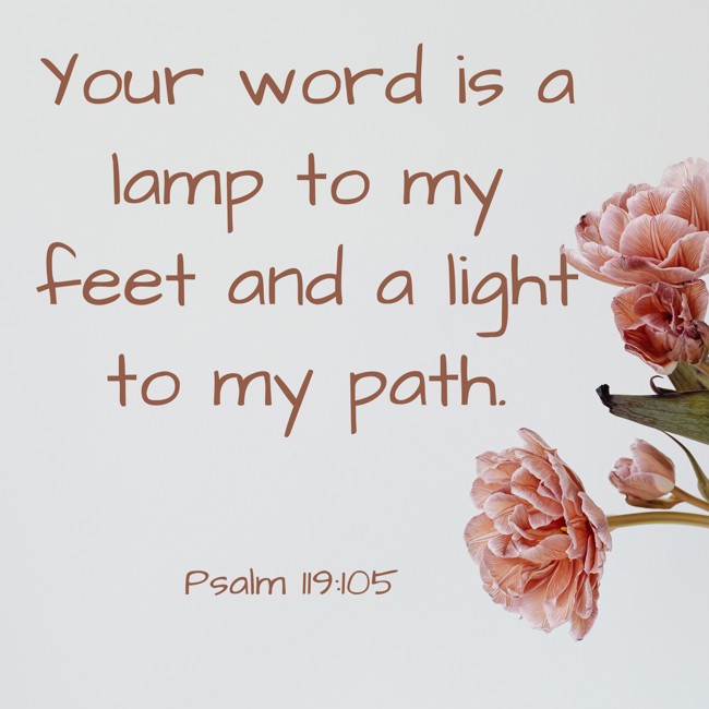 Your word is a lamp to my feet and a light to my path. - Psalm 119:105