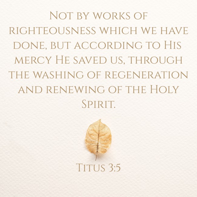 Not by works of righteousness which we have done, but according to His mercy He saved us, through the washing of regeneration and renewing of the Holy Spirit. - Titus 3:5