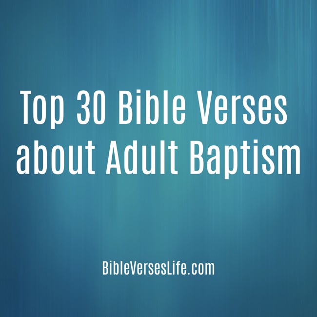 Top 30 Bible Verses about Adult Baptism