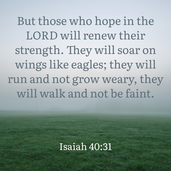 But those who hope in the LORD will renew their strength. They will soar on wings like eagles; they will run and not grow weary, they will walk and not be faint. - Isaiah 40:31