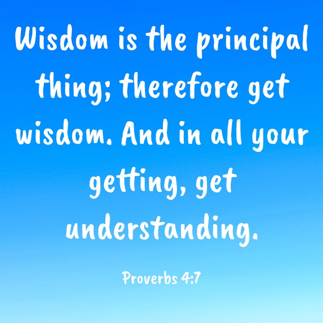 Wisdom is the principal thing; therefore get wisdom. And in all your getting, get understanding. - Proverbs 4:7