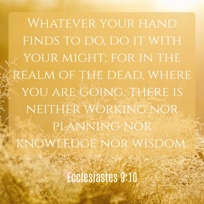 Whatever your hand finds to do, do it with your might; for in the realm of the dead, where you are going, there is neither working nor planning nor knowledge nor wisdom. - Ecclesiastes 9:10