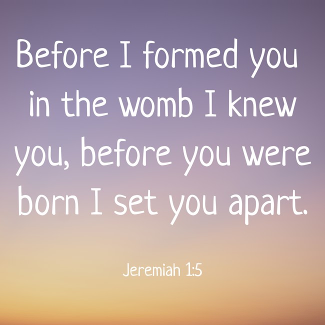 Before I formed you in the womb I knew you, before you were born I set you apart. - Jeremiah 1:5