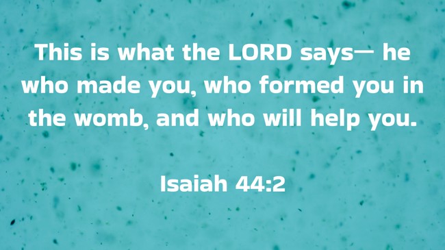 This is what the LORD says— he who made you, who formed you in the womb, and who will help you. - Isaiah 44:2