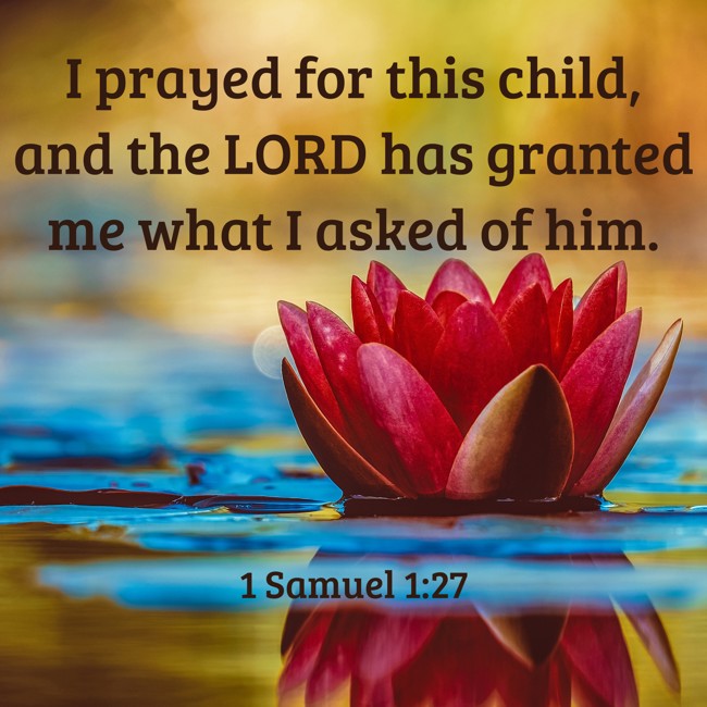 I prayed for this child, and the LORD has granted me what I asked of him. - 1 Samuel 1:27