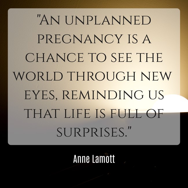 An unplanned pregnancy is a chance to see the world through new eyes, reminding us that life is full of surprises. - Anne Lamott