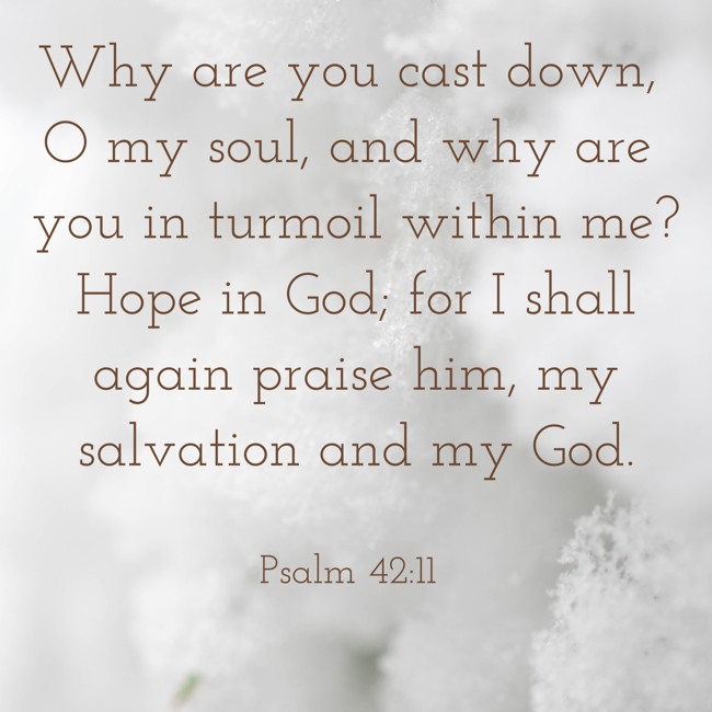 Why are you cast down, O my soul, and why are you in turmoil within me? Hope in God; for I shall again praise him, my salvation and my God. - Psalm 42:11