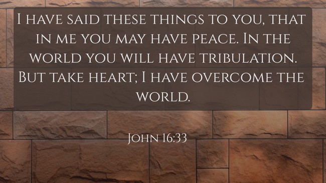 I have said these things to you, that in me you may have peace. In the world you will have tribulation. But take heart; I have overcome the world. - John 16:33