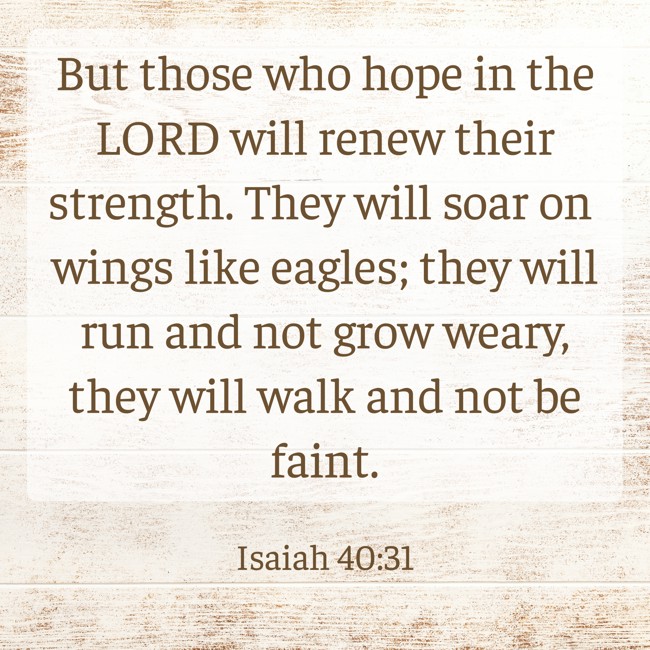 But those who hope in the LORD will renew their strength. They will soar on wings like eagles; they will run and not grow weary, they will walk and not be faint. - Isaiah 40:31