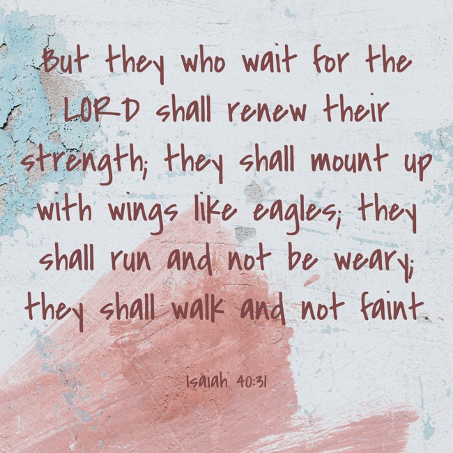But they who wait for the LORD shall renew their strength; they shall mount up with wings like eagles; they shall run and not be weary; they shall walk and not faint. - Isaiah 40:31
