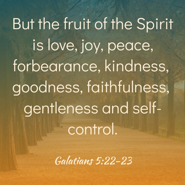 But the fruit of the Spirit is love, joy, peace, forbearance, kindness, goodness, faithfulness, gentleness and self-control. - Galatians 5:22-23