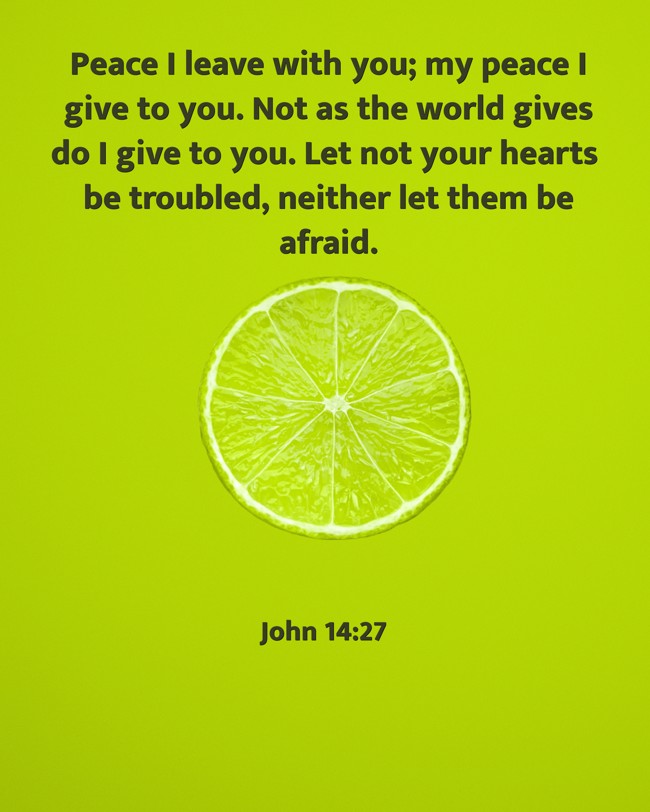 Peace I leave with you; my peace I give to you. Not as the world gives do I give to you. Let not your hearts be troubled, neither let them be afraid. - John 14:27