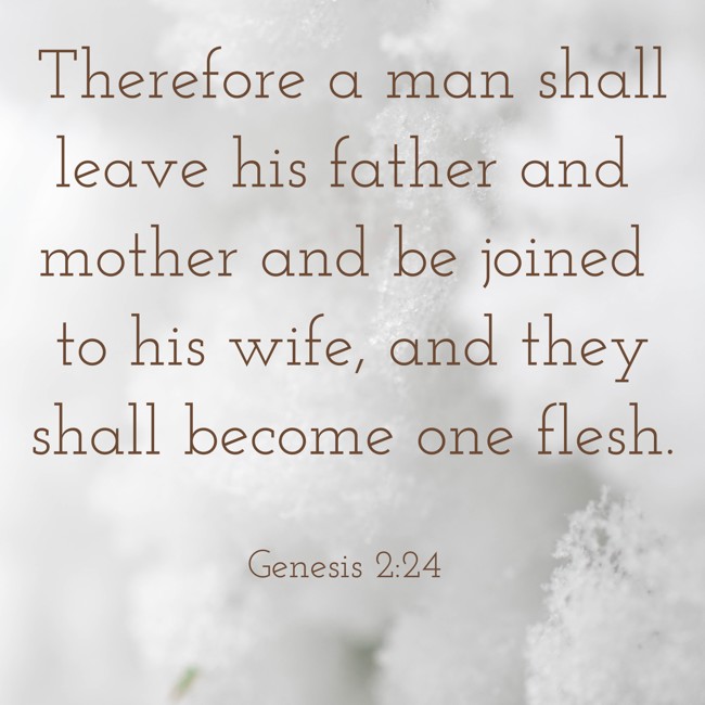 Therefore a man shall leave his father and mother and be joined to his wife, and they shall become one flesh. - Genesis 2:24
